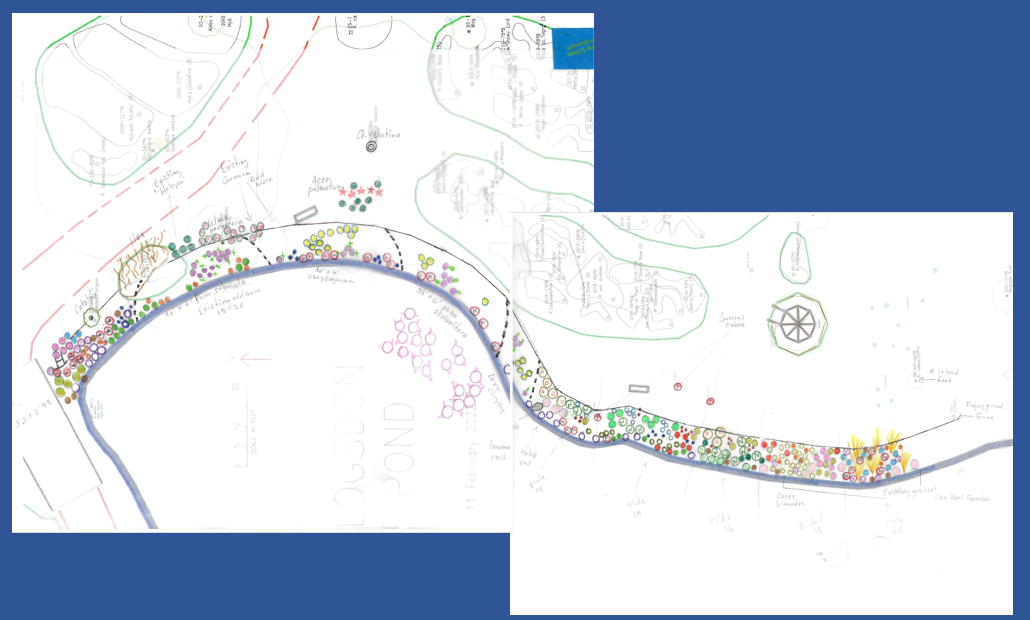 Logsdon Pond East planting design diagram