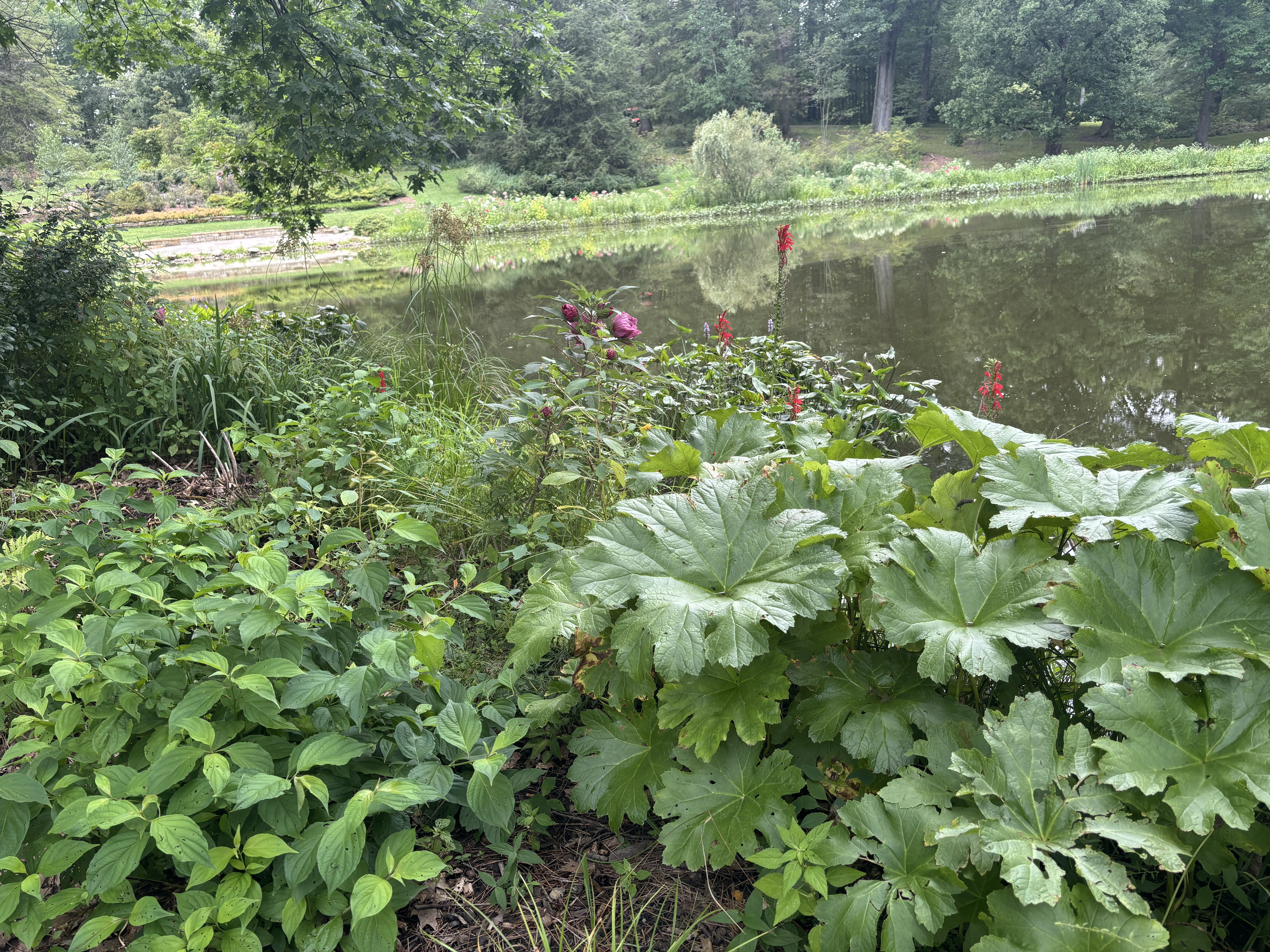 Logsdon Pond East