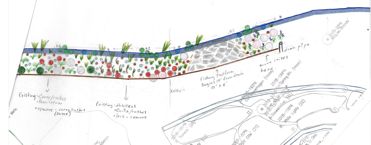 Logsdon Pond West planting design, revision